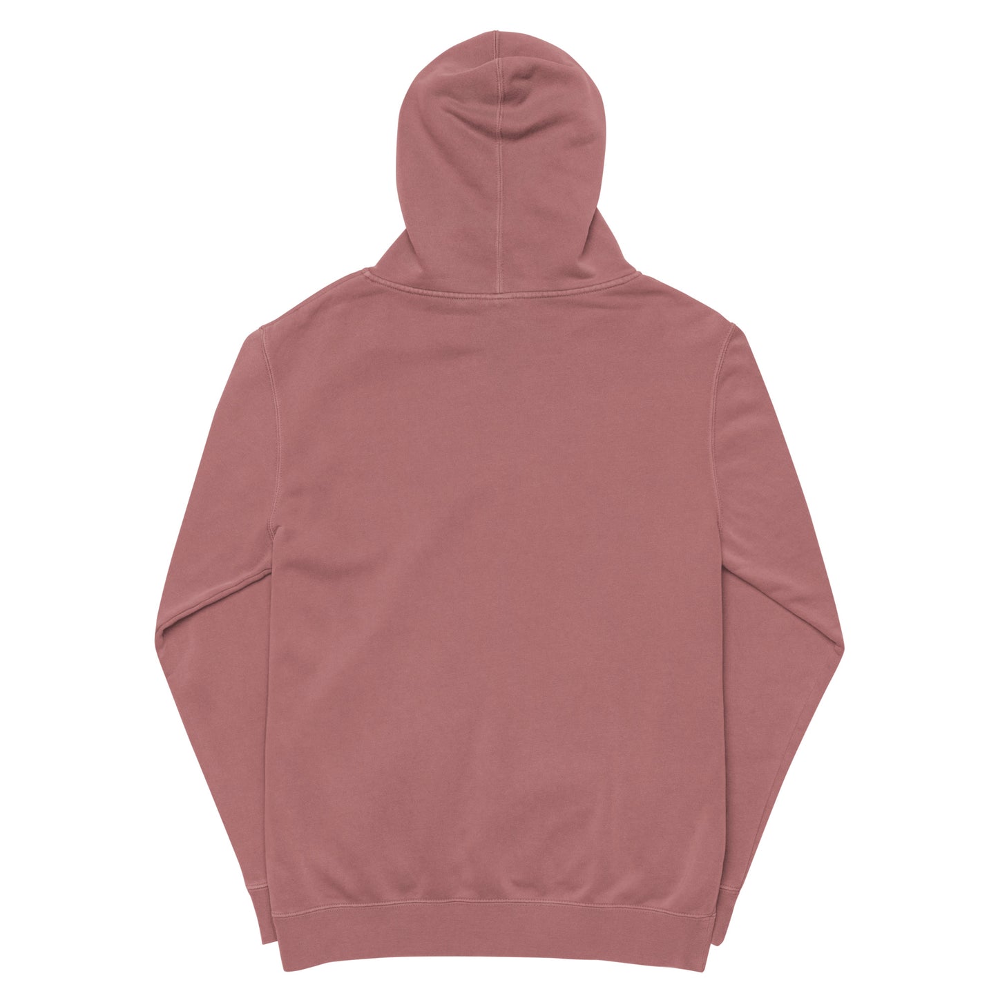 DirtProof Embroidered Oversized Hoodie